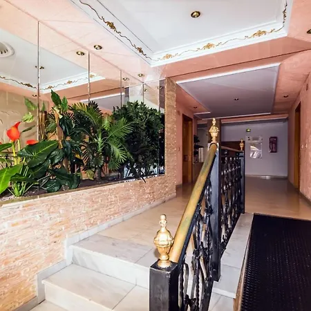 Alegria Id 103 * 또레비에하